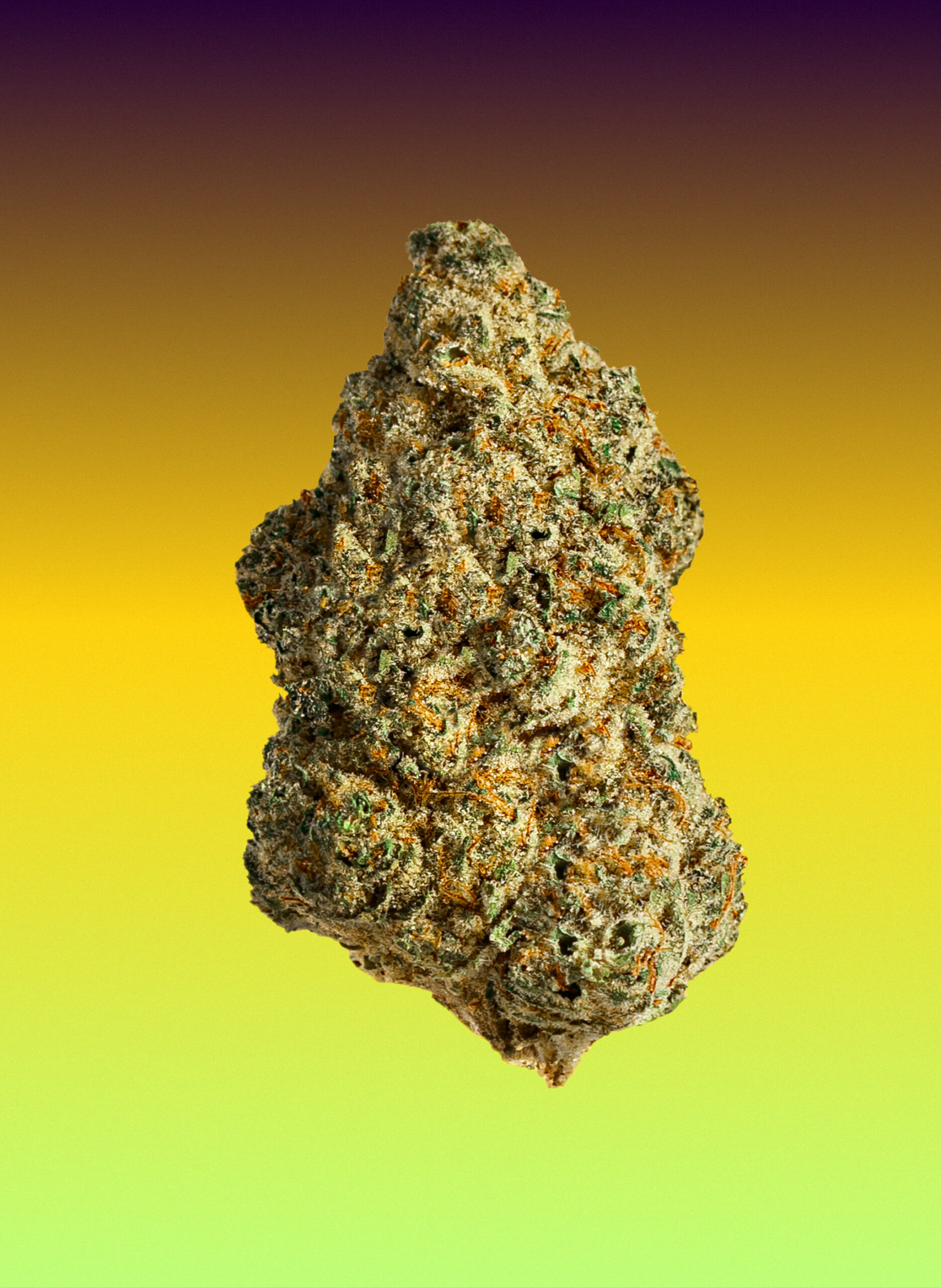 Pineapple God · Soar