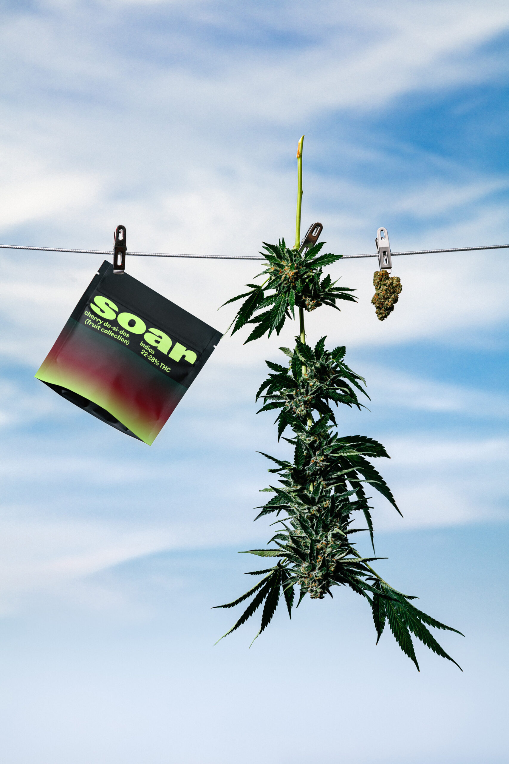 Cherry DoSiDos · Soar Cherry DoSiDos · Soar
